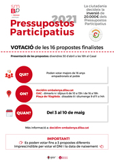 Cartell votacions 