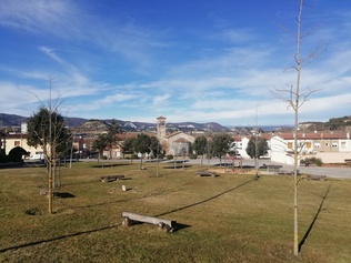IMG_20201216_121252.jpg