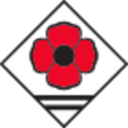 Logo oficial de Sant Miquel de Balenyà participa